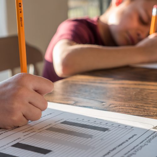 Edukacja domowa egzaminy – jak wyglądają?